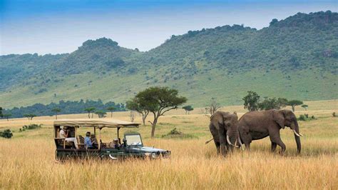 Kenya Une Destination Qui Tient Ses Promesses ≡ Voyage Carte Plan