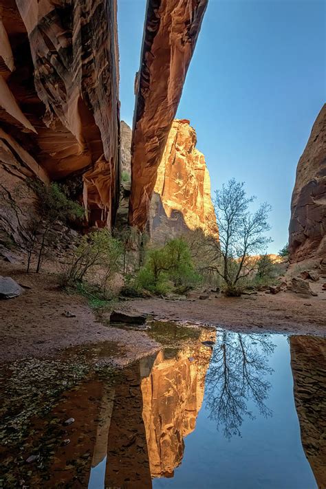 Morning Glory Arch And Reflections Moab Utah Photograph By Joan Carroll