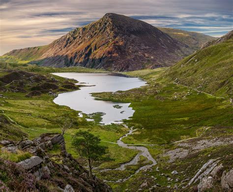 Wandelen In Wales Niet Voor Niets Klein Nieuw Zeeland Genoemd