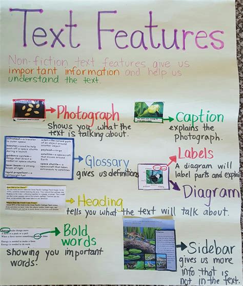 Text Features Chart Text Features Chart Nonfiction Texts Glossary