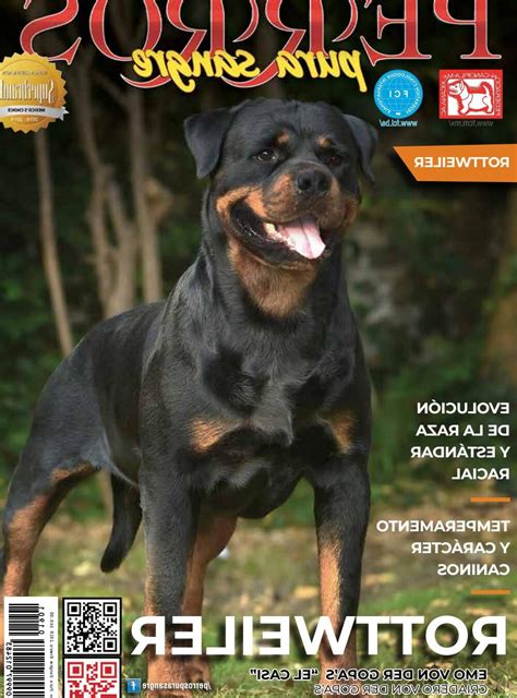 Cu Nto Cuesta Un Rottweiler En Espa A Vimar Alfambra