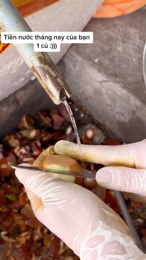 Quá trình tách ruột quả măng cụt non kì công để làm món gỏi gà măng cụt đang hot ai nhìn cũng