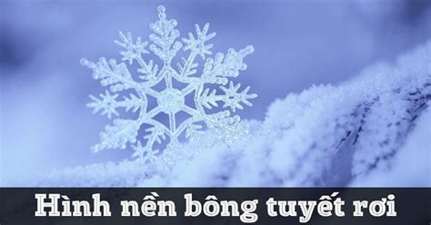 100+ Hình nền, ảnh bông tuyết rơi đẹp cho máy tính, điện thoại