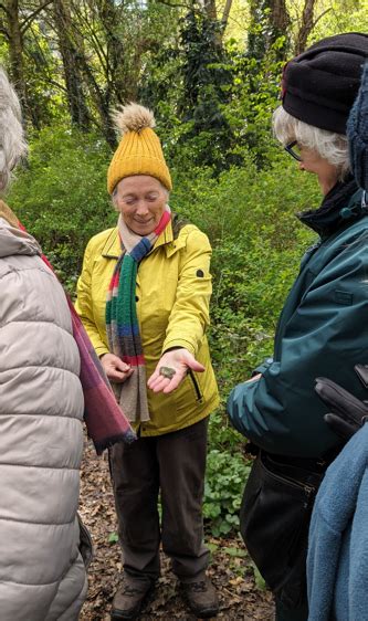 Orlagh In The City Take A Ucd Woodlands Walk With Eanna Ni Lamhna Eco