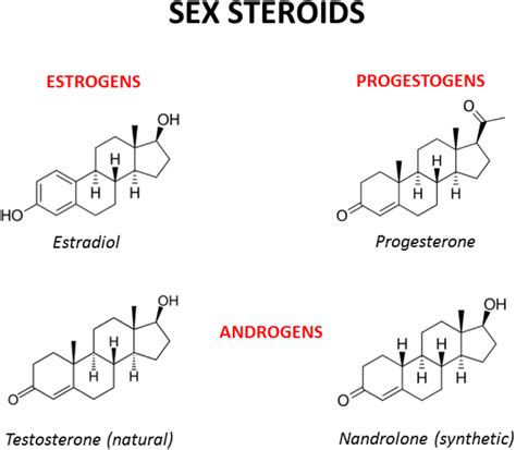 Chemical Structures Of The Main Male And Female Sex Hormones And The Download Scientific