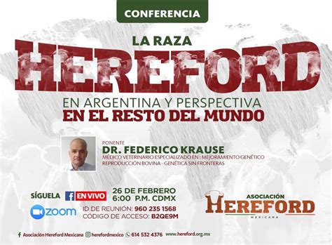 Hereford Mexico
