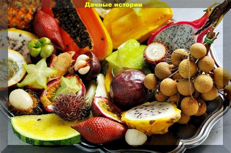 СОВЕТЫ ПРОФЕССИОНАЛОВ — ПОМОГАЕМ НАЧИНАЮЩИМ ДАЧНИКАМ С 2007 ГОДА ...
