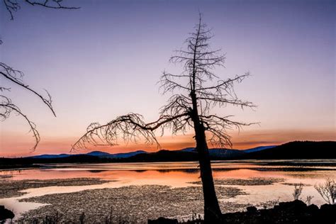 "Heilongjiang Province" Images – Browse 362 Stock Photos, Vectors, and Video | Adobe Stock