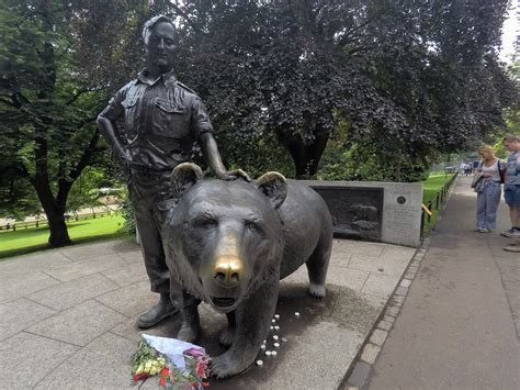 A bear of a true war story - R Street Institute