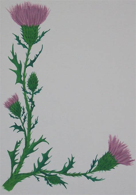 Scottish Thistle Scroll Blank