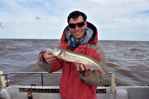 Pejerreyes En El Rio De La Plata Revista El Pato