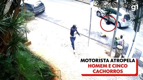 Motorista Atropela Passeador Cinco Cachorros E Foge Sem Prestar