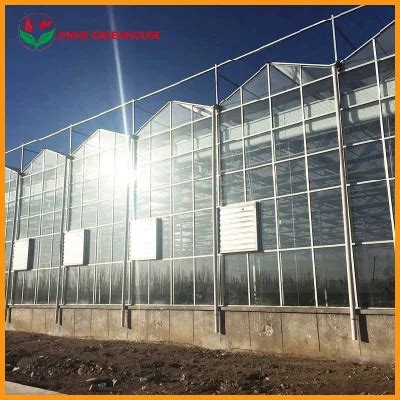 Venlo Structure M Span Multi Span Flower House Garden Fruits Glass