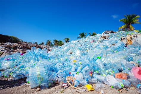 Plastic Waste Impact On Environment At Charlene Nunez Blog