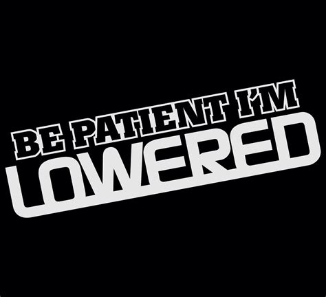 Be Patient Im Lowered Sticker Vinyl Decal Etsy