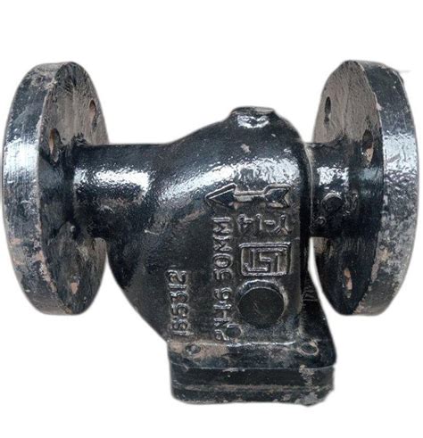 Cast Iron SIR CI Reflex Valve Valve Size 2 Inch At Rs 2624 Piece In