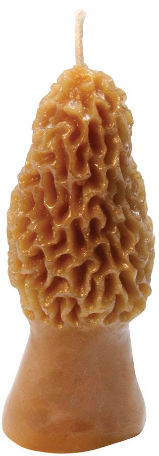 Morel Mushroom Candle Flex Mold Queen Right Colonies