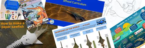 Play & Learn — Sawfish Conservation Society