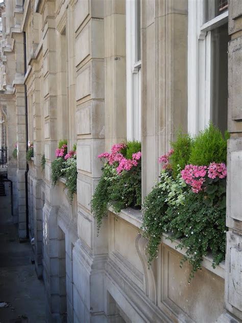 Window Boxes Add Charm And Curb Appeal Flores En Las Ventanas