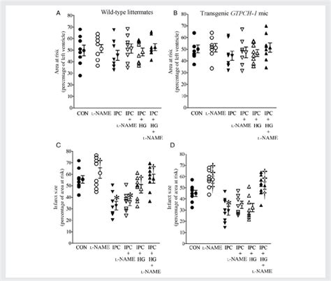 Overexpression Of The Gtp Cyclohydrolase Gtpch Gene Rescued