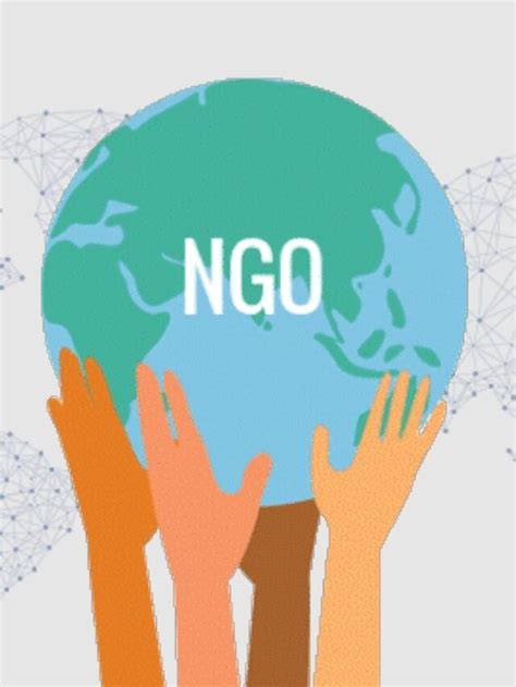 The Power And Role Of Ngos In Shaping An Inclusive Society India Csr