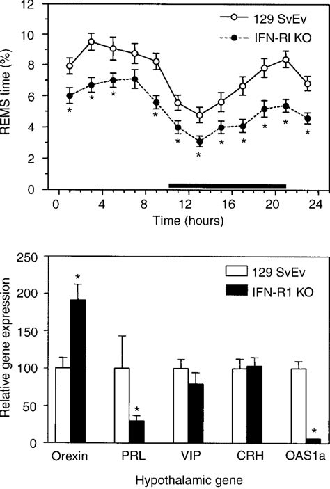 Rapid Eye Movement Sleep Rems Is Reduced In Mice Lacking The