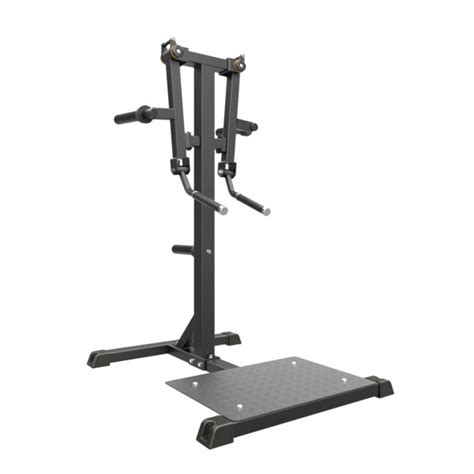 Taurus Seithebemaschine Ifp Standing Lateral Raise Fitshop