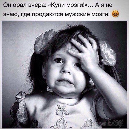 Где купить мозги? )))