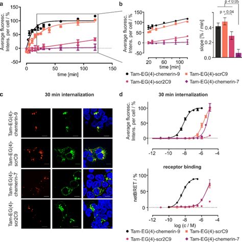 Ligand Binding And Scavenging Of The Chemerin Receptor GPR1 Cellular