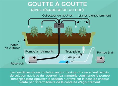 Comment Faire Un Systeme Hydroponique Maison Ventana Blog