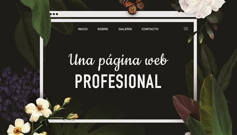 C Mo Crear Una P Gina Web Profesional Desde Cero