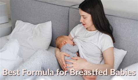 Best Formula For Breastfed Babies Your Go To Guide