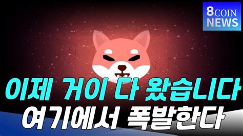 시바이누 긴급속보 이제 거이 다 왔습니다 여기에서 폭발한다 Youtube