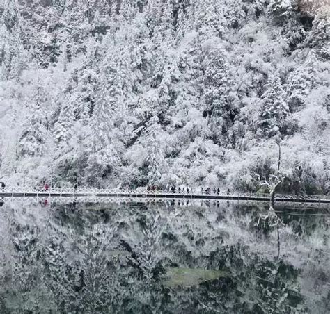 下雪了成都周边这些景区都下雪了你们还不去看看