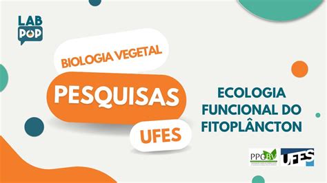 Ecologia funcional do fitoplâncton YouTube