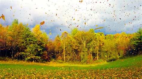 Der Erste Herbststurm Kommt Wetteronline