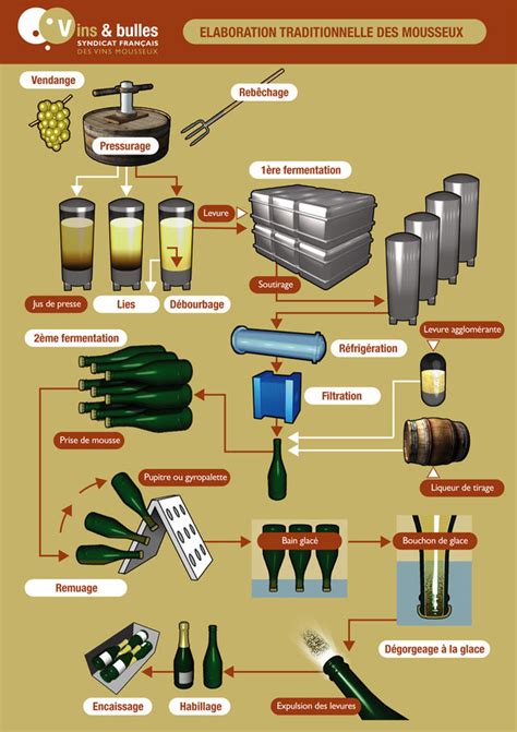 Étapes de vinification des vins effervescents Technologie Restaurant