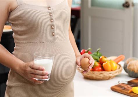 Food Pyramid For Pregnant Women What To Eat And What To Avoid