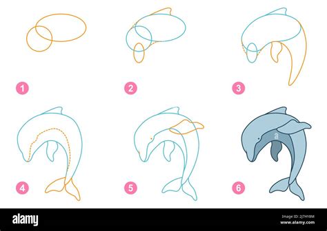 Instrucciones Para Dibujar Delfines Paso A Paso Imagen Vector De Stock