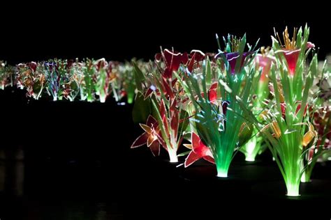 Joana Vasconcelos Garden Of Eden Multimedia