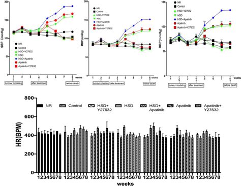 Expression Of The Rhoarock Pathway Was Detected By Qrt Pcr And