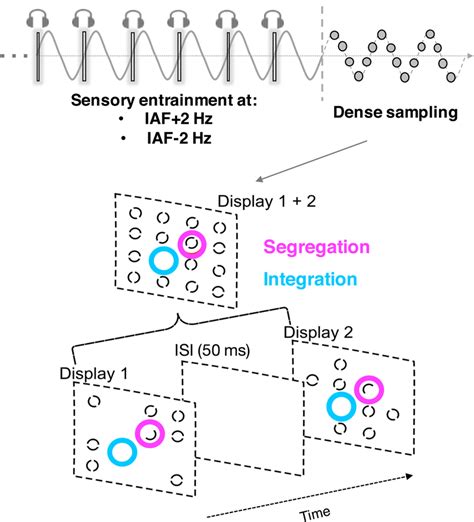 Experimental Procedure The Individual Alpha Frequency Iaf Peak See