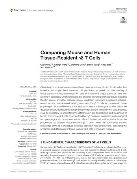 Pdf Comparing Mouse And Human Tissue Resident γδ T Cells