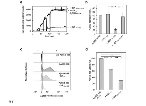 HOCl Treated Serum Albumin Binds To And Prevents Uptake Of The Major