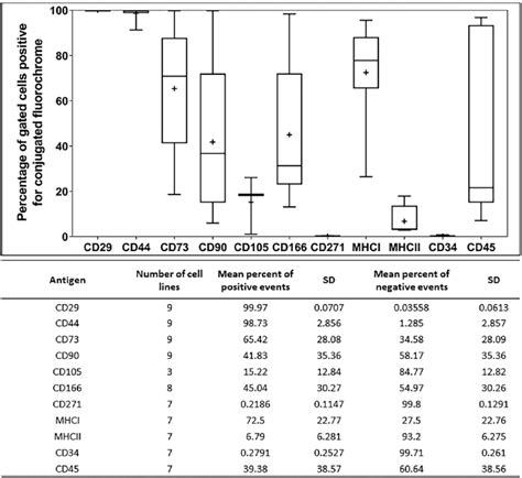 Immunophenotypic Analysis Of Ovine Synovial Membrane Cells Smcs