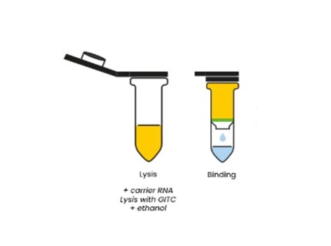 Viral Dna Rna Purification Kit Real Laboratory System