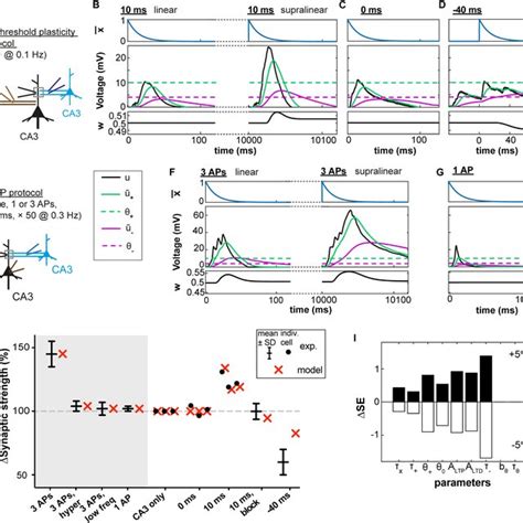 Voltage Dependent Plasticity Model A The Activity Xt Of The