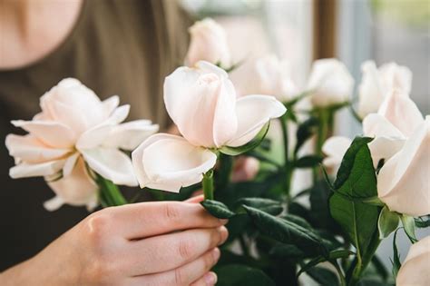 Fechar um buquê de rosas nas mãos de uma florista feminina Foto Premium