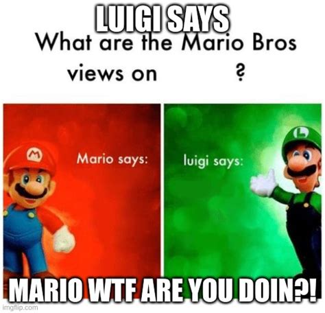 Mario Says Luigi Says Imgflip