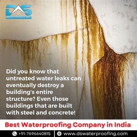 Waterproofing Solutions In Zirakpur Ds Waterproofing Medium